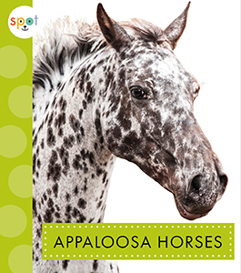 Cover Art for Appaloosa Horses
