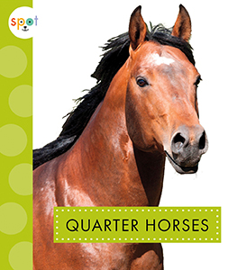 Cover Art for Quarter Horses