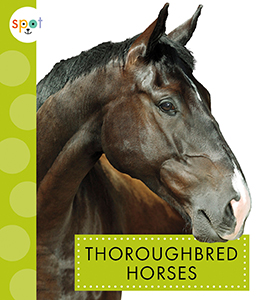 Cover Art for Thoroughbred Horses