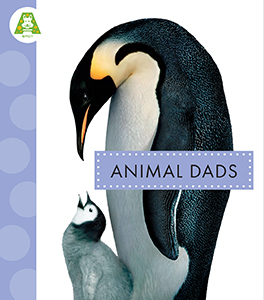 Cover Art for Animal Dads