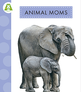 Cover Art for Animal Moms