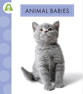 Cover Art for Animal Babies