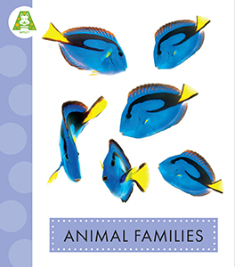 Cover Art for Animal Families