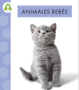 Cover Art for Animales bebés