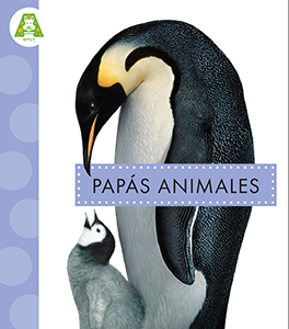 Cover Art for Papas animales