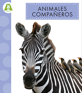 Cover Art for Animales Compañeros