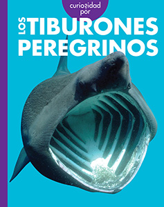 Cover Art for Curiosidad por los tiburones peregrinos