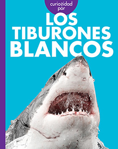 Cover Art for Curiosidad por los tiburones blancos