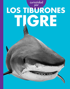 Cover Art for Curiosidad por los tiburones tigre