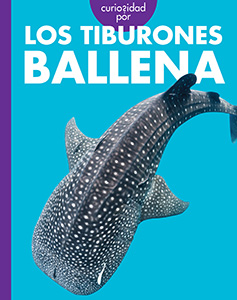 Cover Art for Curiosidad por los tiburones ballena