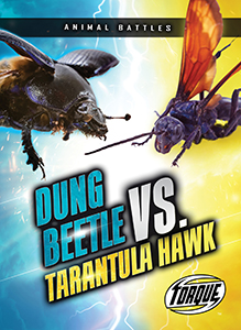 Cover Art for Dung Beetle vs. Tarantula Hawk