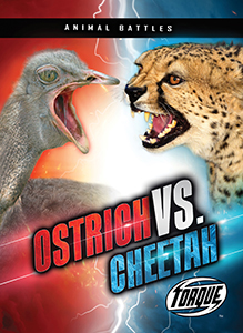 Cover Art for Ostrich vs. Cheetah