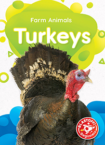 Cover Art for Turkeys