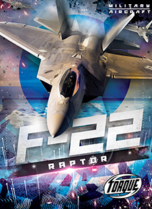Cover Art for F-22 Raptor