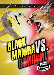 Cover Art for Black Mamba vs. Caracal
