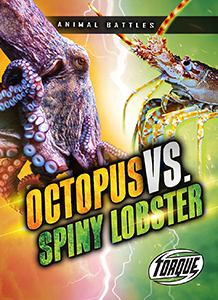 Cover Art for Octopus vs. Spiny Lobster