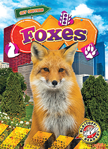 Cover Art for Foxes