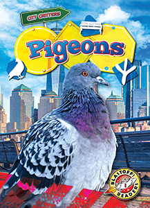 Cover Art for Pigeons
