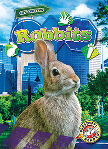 Cover Art for Rabbits