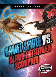 Cover Art for Camel Spider vs. Black Fat-tailed Scorpion