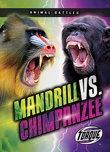 Cover Art for Mandrill vs. Chimpanzee