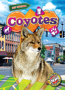 Cover Art for Coyotes
