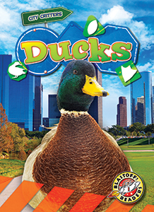 Cover Art for Ducks