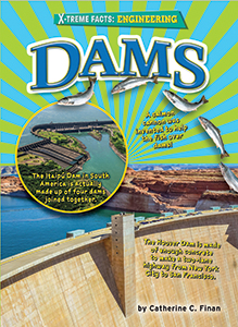 Cover Art for Dams