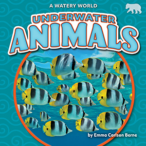 Cover Art for Underwater Animals