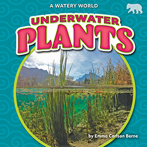 Cover Art for Underwater Plants