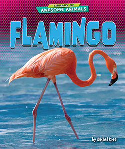 Cover Art for Flamingo