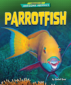 Cover Art for Parrotfish