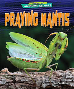 Cover Art for Praying Mantis
