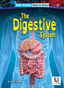 Cover Art for The Digestive System