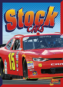Cover Art for Stock Cars