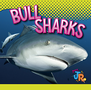 Cover Art for Bull Sharks