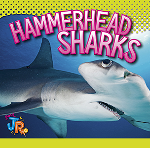 Cover Art for Hammerhead Sharks