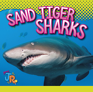 Cover Art for Sand Tiger Sharks