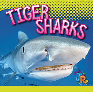Cover Art for Tiger Sharks
