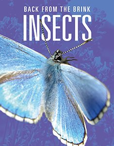 Cover Art for Insects: Back from the Brink
