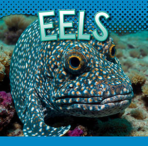 Cover Art for Eels