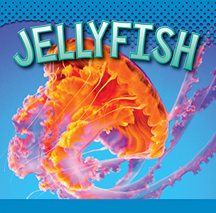Cover Art for Jellyfish