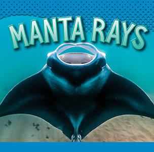 Cover Art for Manta Rays