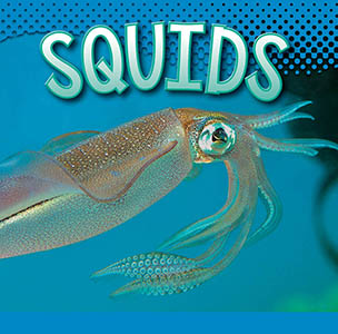 Cover Art for Squids