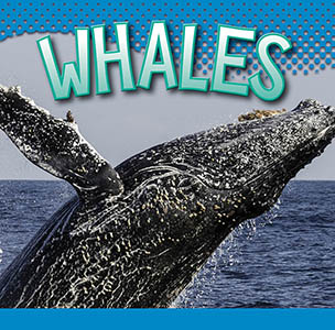 Cover Art for Whales