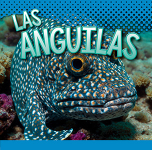 Cover Art for Las anguilas