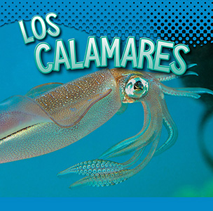 Cover Art for Los calamares