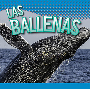 Cover Art for Las ballenas