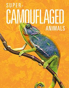 Cover Art for Super-Camouflaged Animals