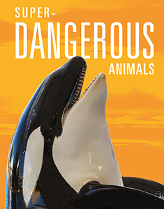 Cover Art for Super-Dangerous Animals